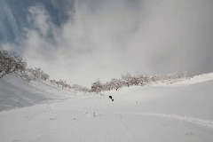 SIRI070210.GIF - 551,909BYTES